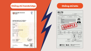 Sự khác nhau giữa Cambridge và IELTS: Phụ huynh nên chọn hướng nào cho con?